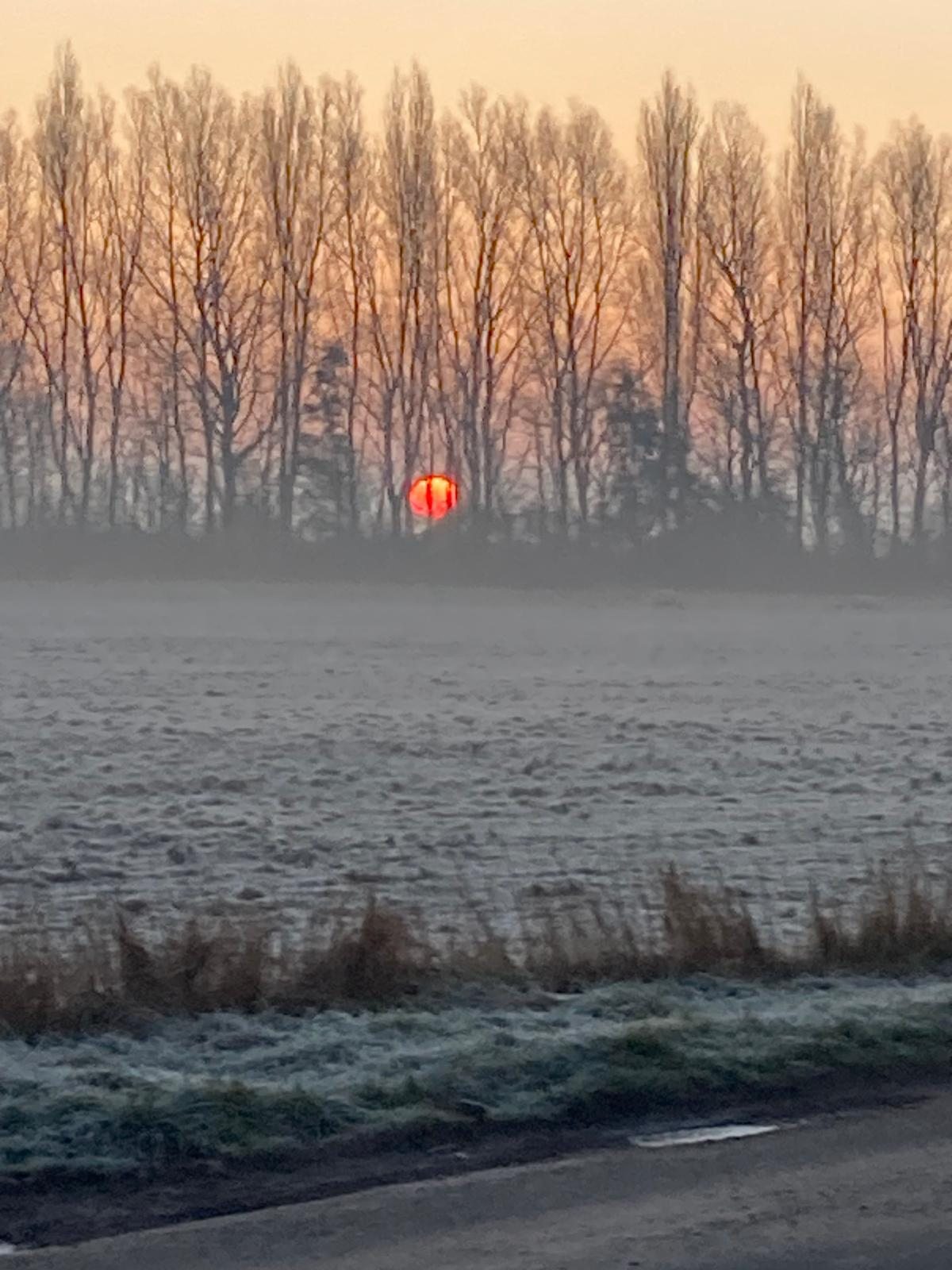 Winter sunrise over frosty fields